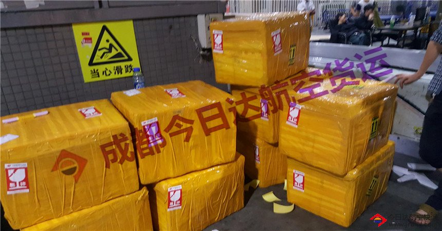 冷凍貨物空運(yùn)