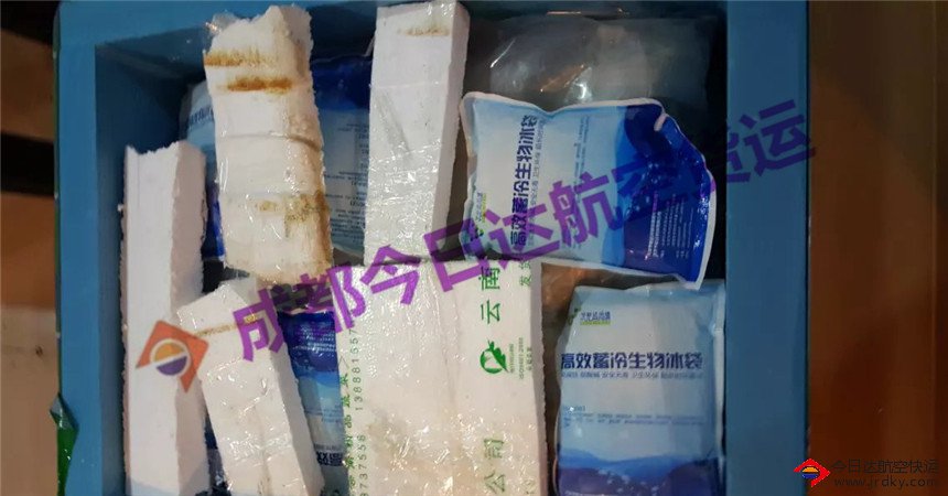 冷凍貨物空運(yùn)